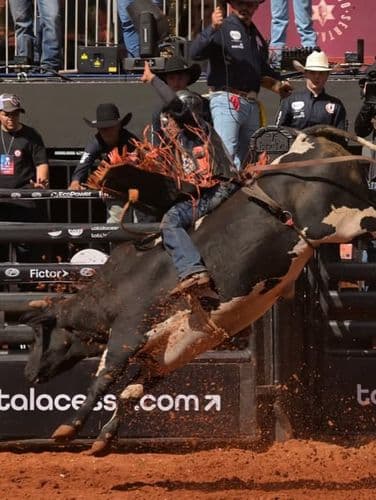 Comissão do Esporte aprova inclusão de rodeios e turfe nas apostas esportivas online