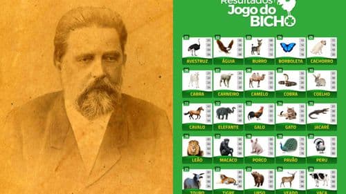 Jogo do bicho faz 135 anos: entenda por que a modalidade nasceu para salvar um zoológico